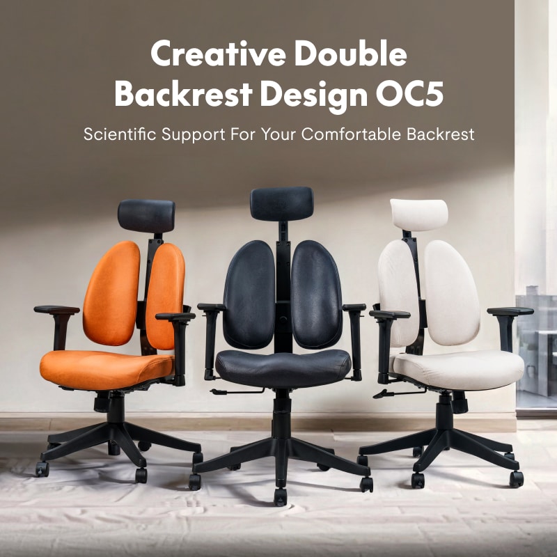 Double Backrest Ergonomic Chairs | Office Chair | Flexispot